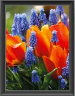 mittlere Farbwiedergabestufe